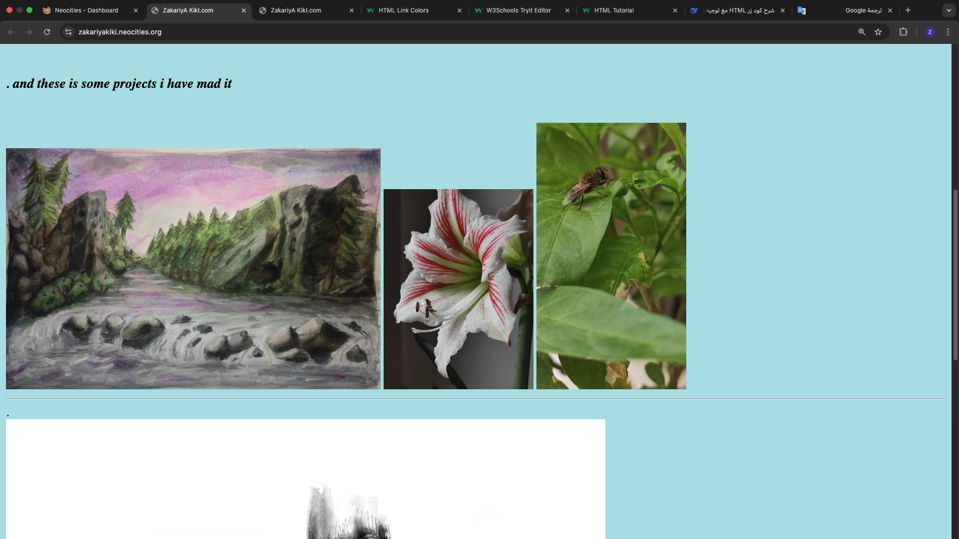 picitir for my old website